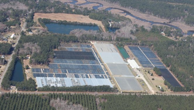 Aerial view of a greenhouse production facility.