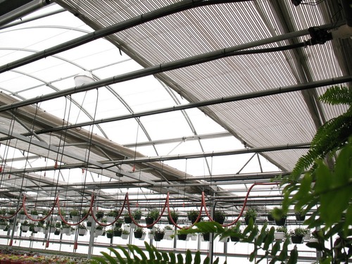 Shade curtains to help cool greenhouses in summer.