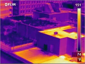 Infrared Image of Chicago City Hall Green Roof.