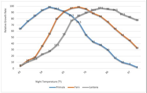 This chart shows the growth rate of three different crops based on night temperature.