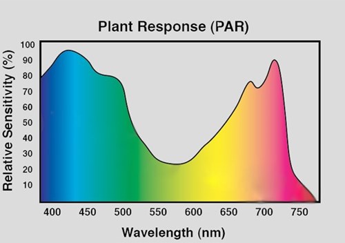 Plant Response PAR Photosynthesis PRO-MIX