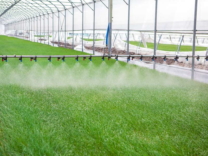 promix greenhouse growing sprinklers