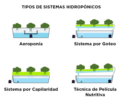 Tipos de Sistemas Hidropónicos