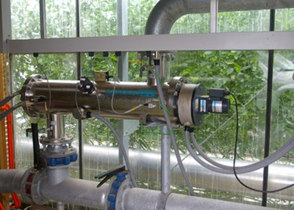 Ultraviolet light for water sanitation in greenhouse