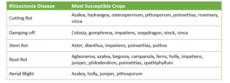 Crops most susceptible to various Rhizoctonia diseases Ann Chase PRO-MIX Greenhouse Growing