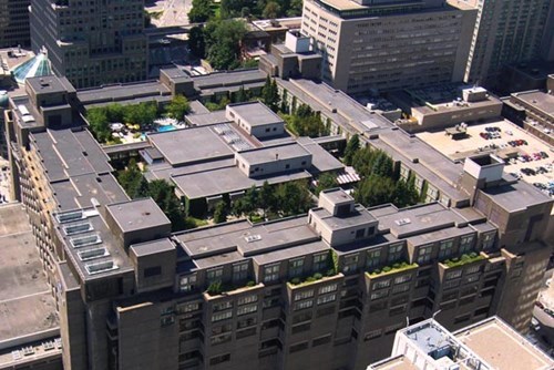 Jardin sur un toit dans une ville urbaine