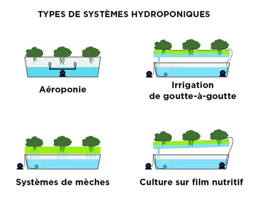 Type de systèmes hydroponiques