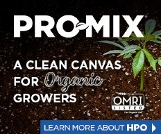 PRO-MIX HPO web banner