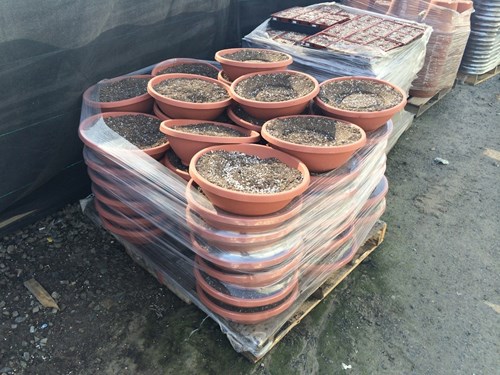 Article fr-ca| Growing Medium Compaction, stacked pots Des pots pre remplis empiles les uns par-dessus les autres