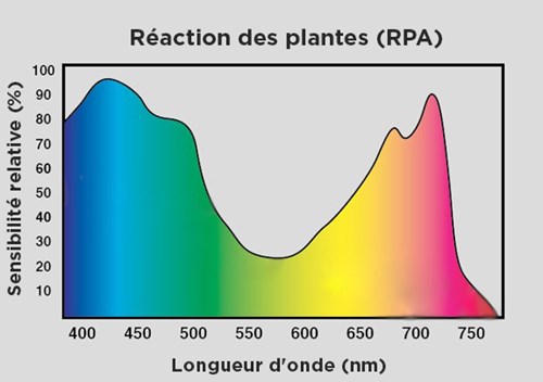 Réaction des plantes