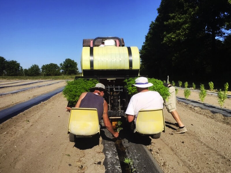 Article en-us | Heritage Farmacy farm Article en-us | Heritage Farmacy farm