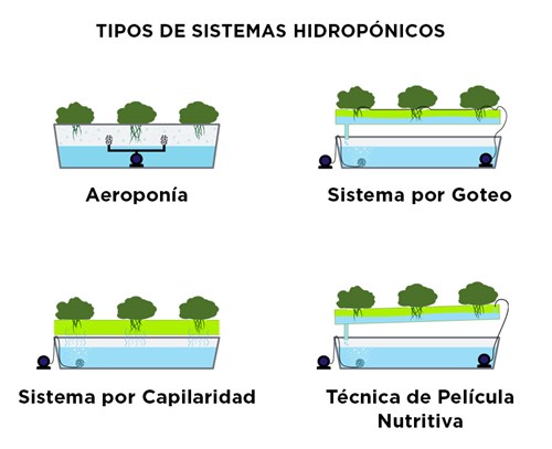 Tipos de Sistemas Hidroponicos