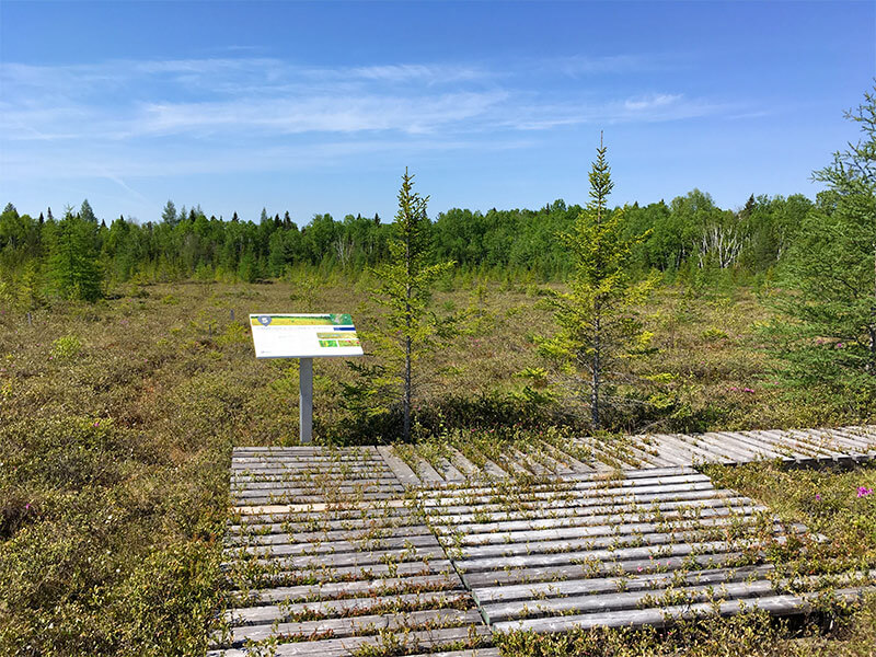 Restoration site