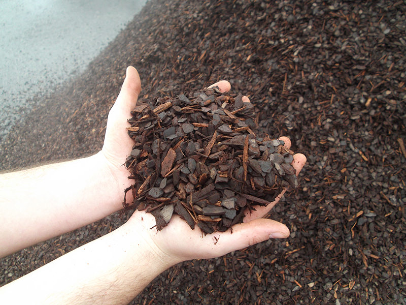Article es-us | Partially composted aged southern pine bark used in PRO-MIX growing media orteza de pino del sur envejecida, parcialmente compostada.