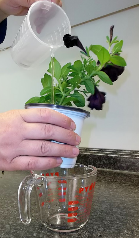 Article en-us | pour-through method pour-through method