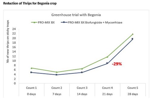 reduction thrips begonia crops