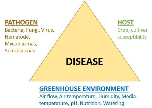 Article en-us | root disease triangle Root disease triangle