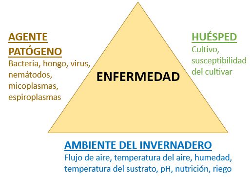 Triángulo de Enfermedades