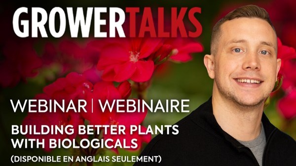 vignette siteweb webinaire