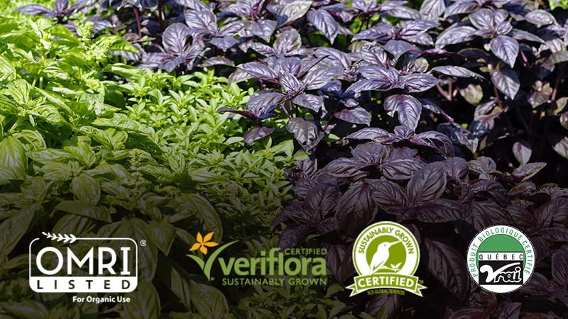 Certification biologique