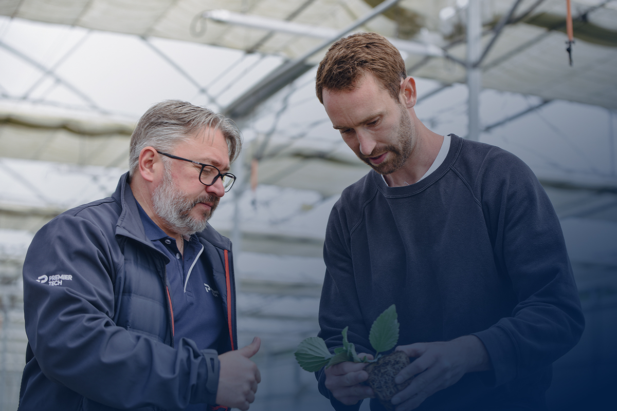 Deux pépiniéristes regardant une plante désempoté pour regarder ses racines