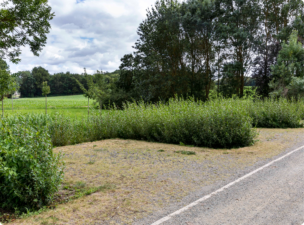 Réalisation d'un parking en chaussée végétale au Thoureil