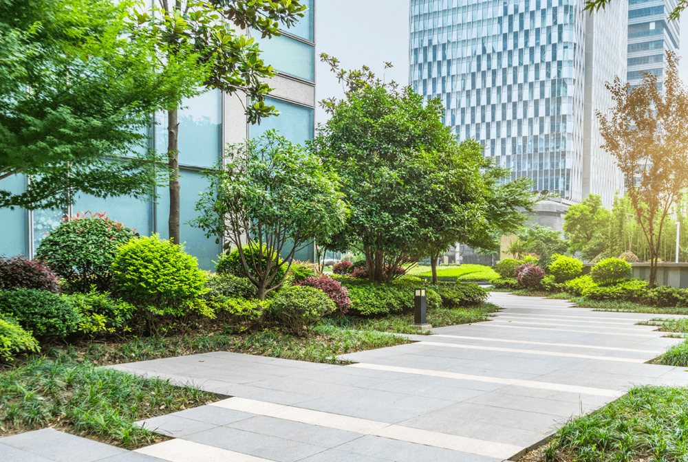 Vue aérienne d’un aménagement urbain végétalisé avec arbres, toitures vertes et allées piétonnes