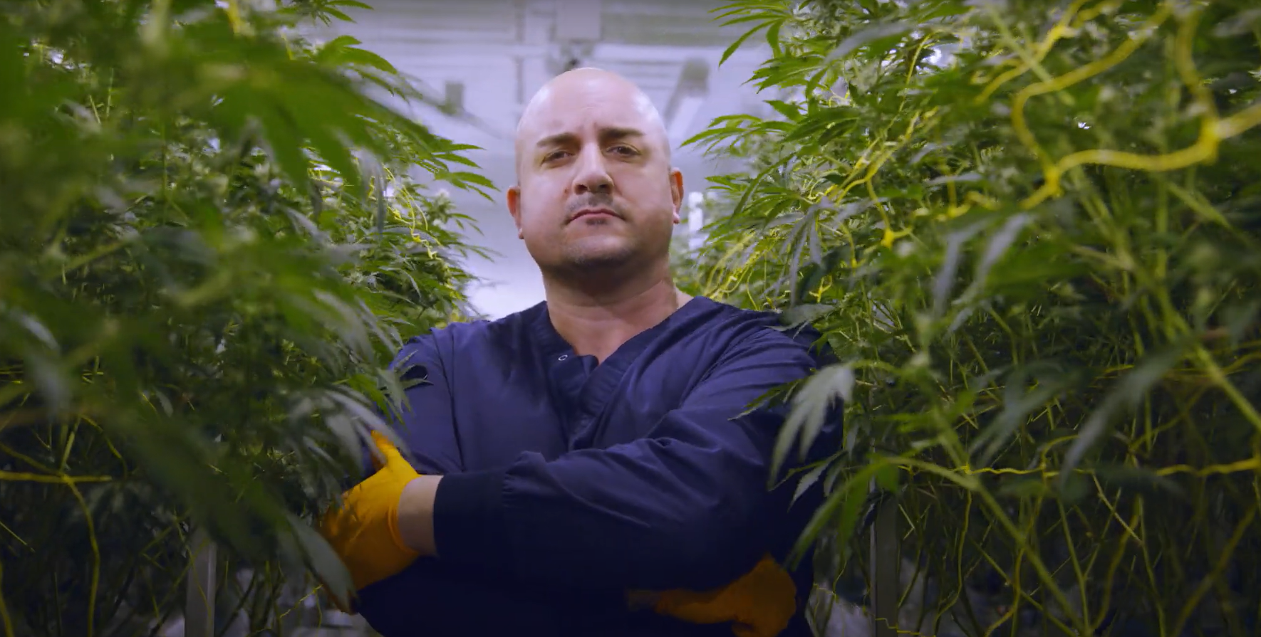 purplefarm-genetics-ceo.png