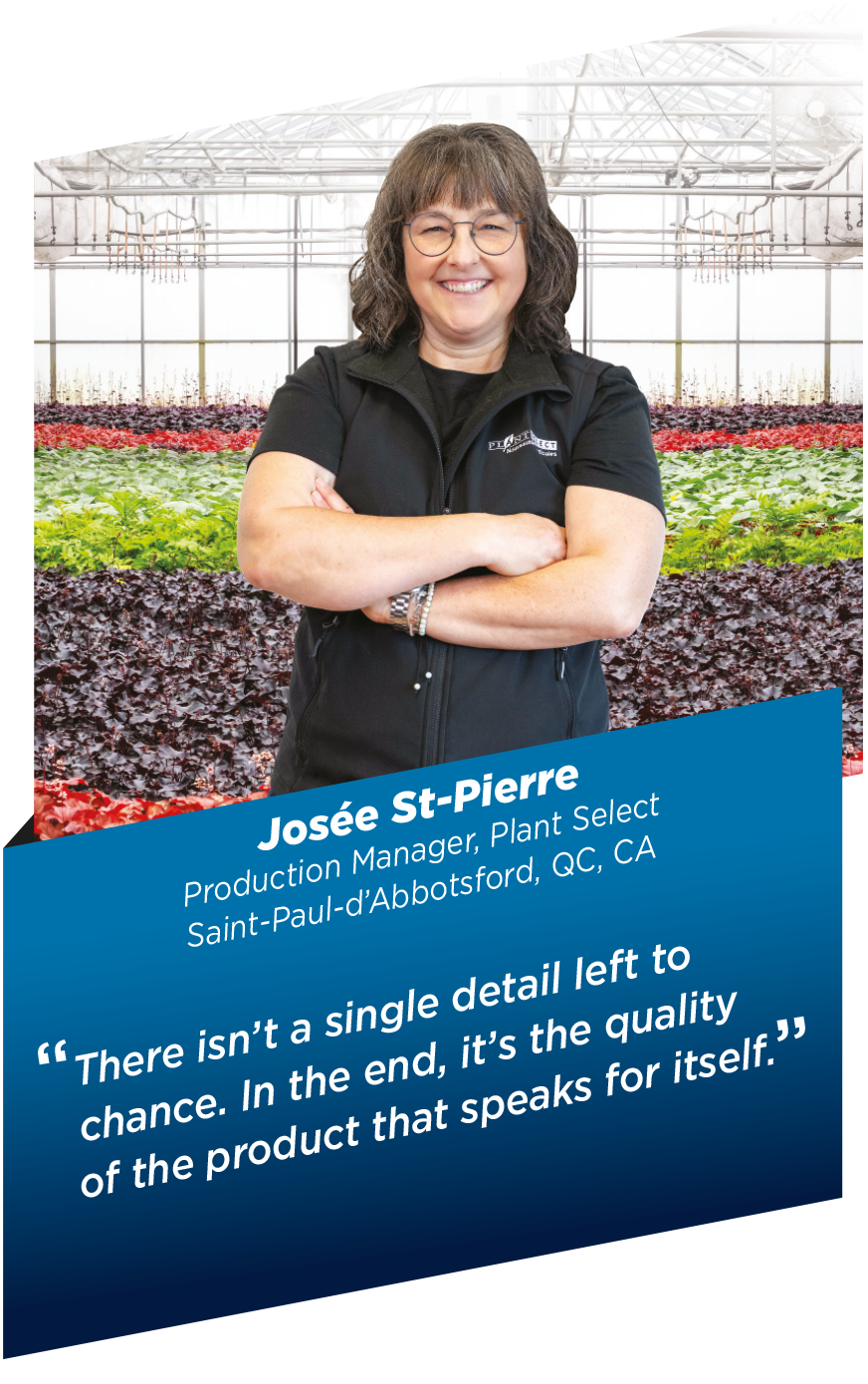 Josée St-Pierre
