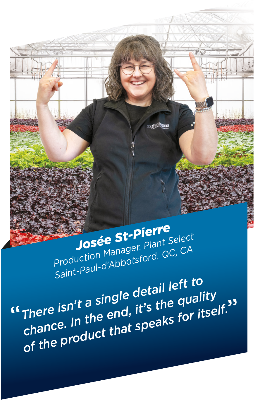 Josée St-Pierre hover