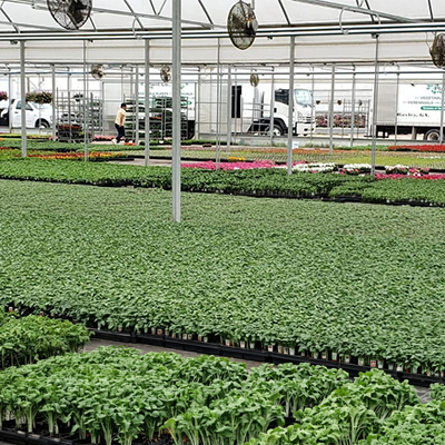 testimonial-county-farm-plant.jpg