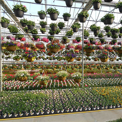 testimonial-urban-growers-greenhouse.jpg
