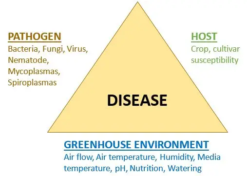 Root disease triangle