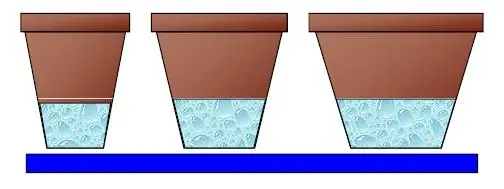 Misma altura de sustrato diferente diámetro de maceta de PRO-MIX Greenhouse Growing