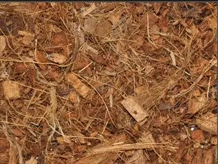 Trozos de coco