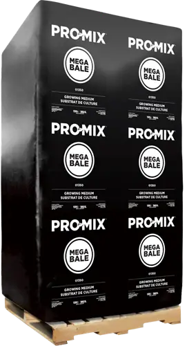 promix megabale