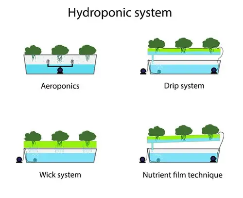Hydroponic systems