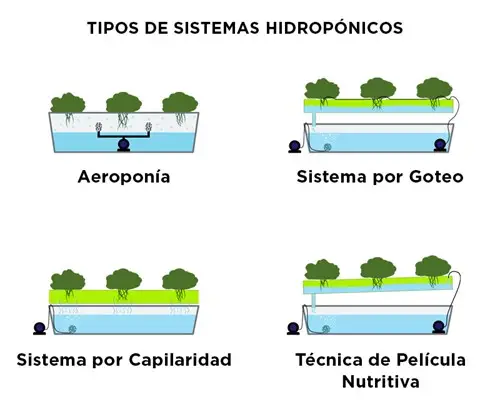 Tipos de Sistemas Hidroponicos