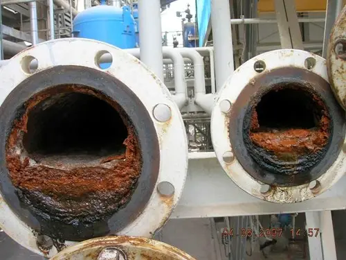 biofilm in pipe 
