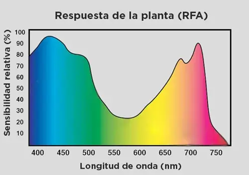 Respuesta de la planta