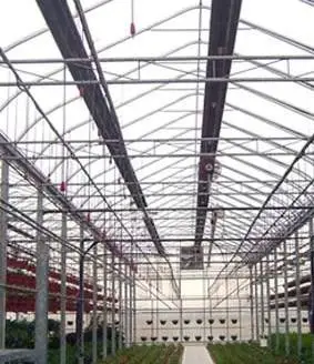 Infrared heating pipes located in the greenhouse peak radiate heat that warms solid objects below