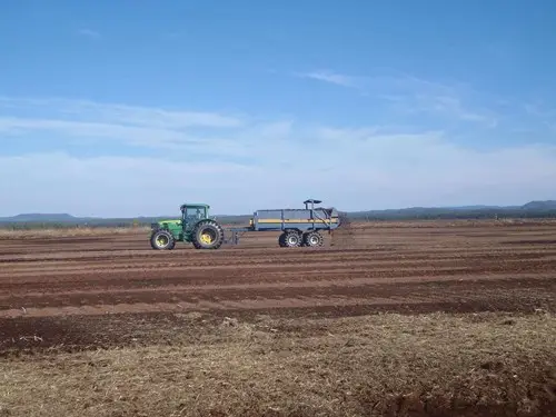 Spreading of the harvested plants on the bog to be restored ready to host them