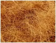 Coir fiber