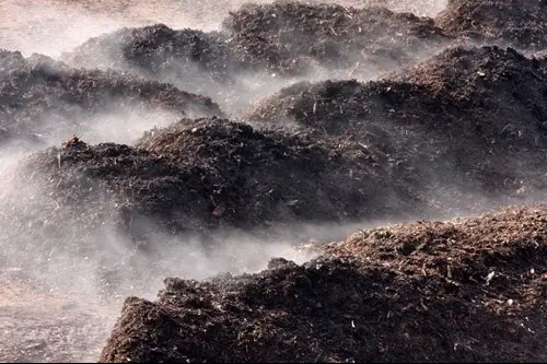 Steaming Compost