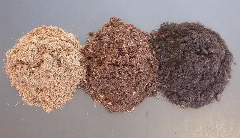 Peat Moss grade