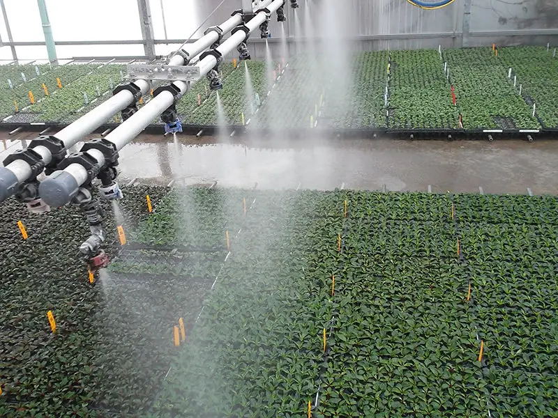 Boom misting unrooted cuttings on floor bobs market