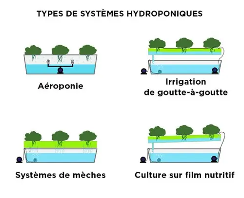 Type de systemes hydroponiques