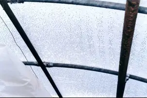 Condensación en invernadero