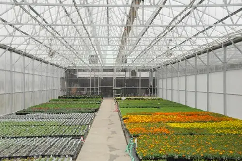 Greenhouse