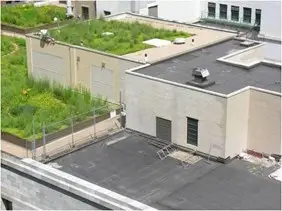 Chicago City Hall Green Roof